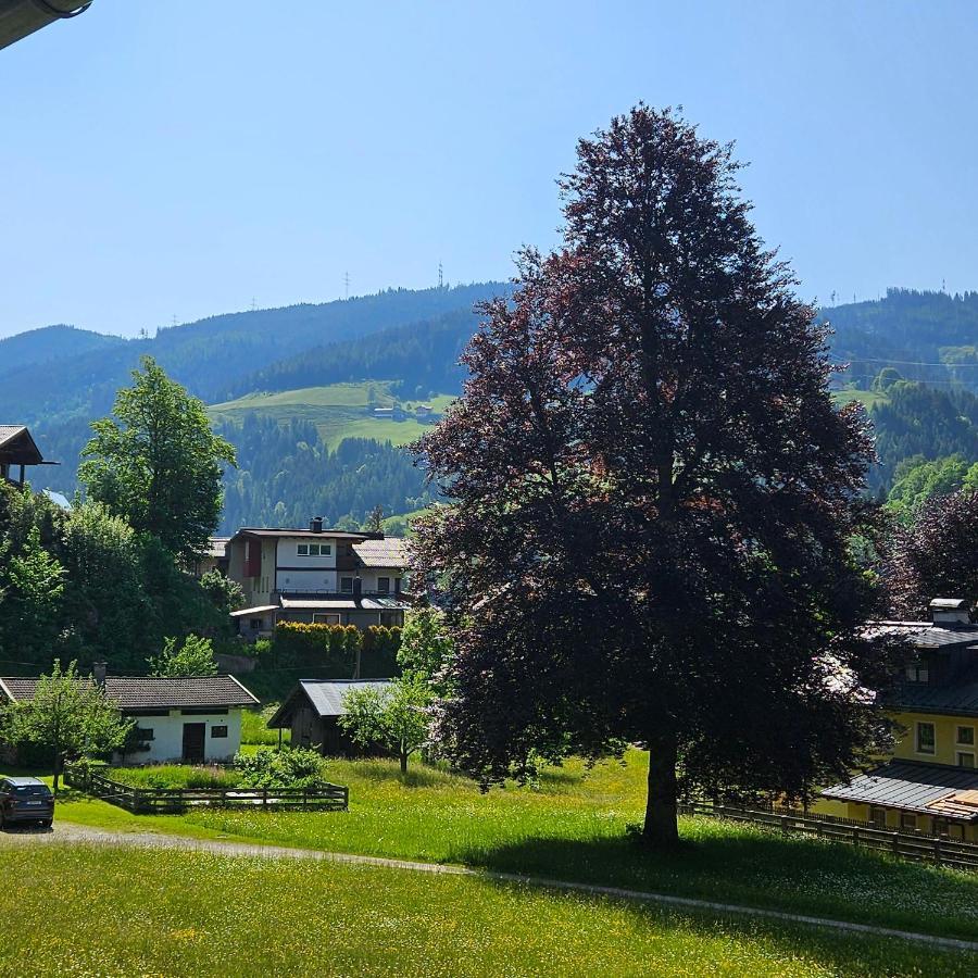 Haus Meikl Mühlbach am Hochkönig エクステリア 写真