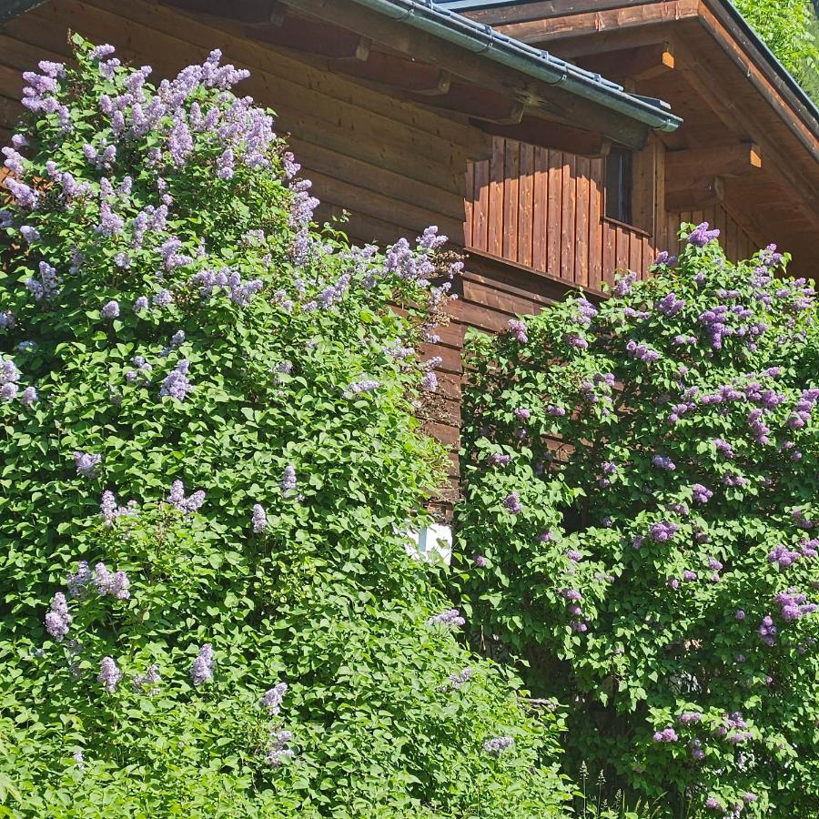 Haus Meikl Mühlbach am Hochkönig エクステリア 写真