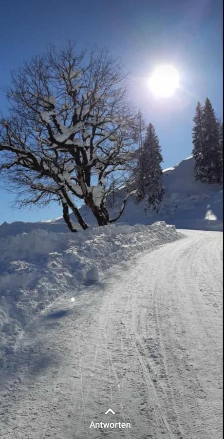 Haus Meikl Mühlbach am Hochkönig エクステリア 写真