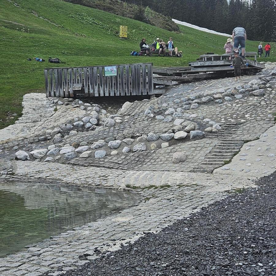 Haus Meikl Mühlbach am Hochkönig エクステリア 写真