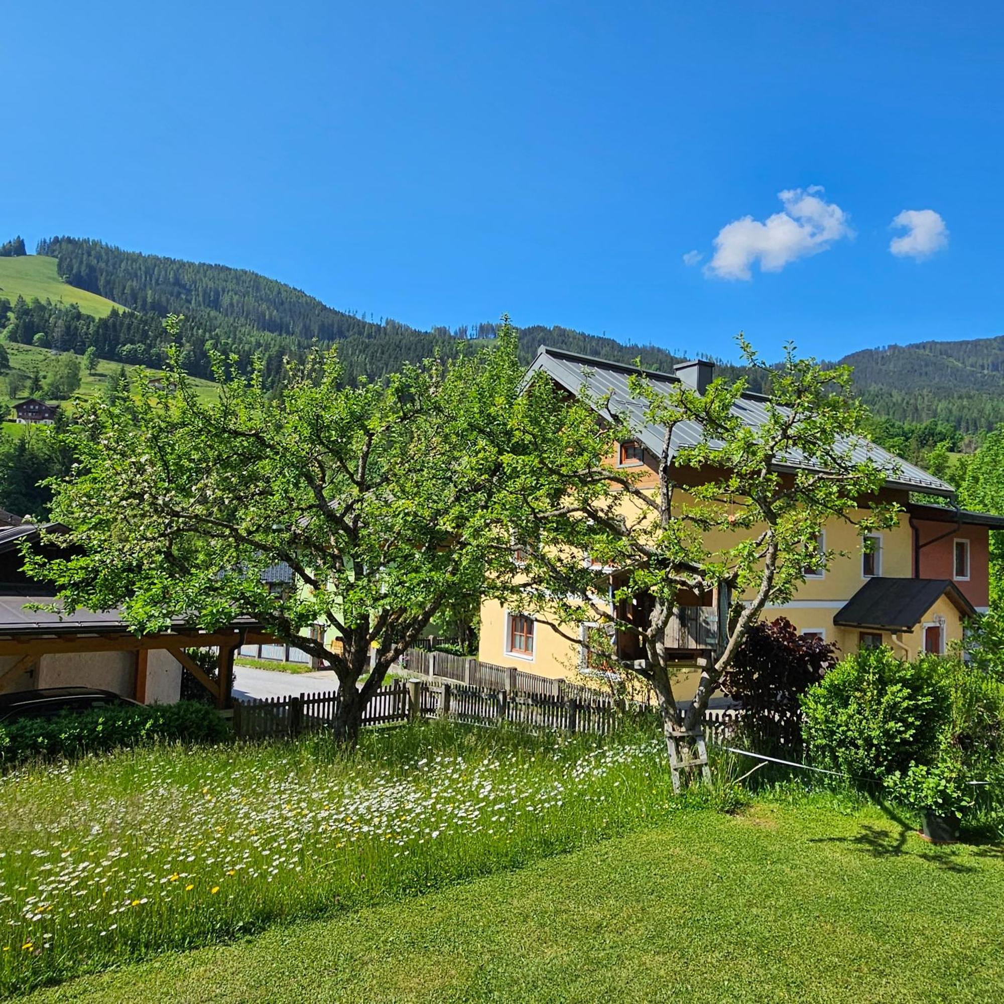 Haus Meikl Mühlbach am Hochkönig エクステリア 写真